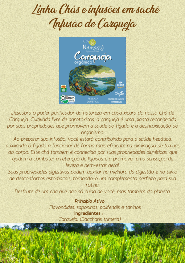 Chá de Carqueja sachê | Orgânico - Namastê - Imagem 2