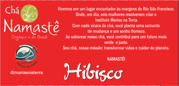 Chá de Hibisco sachê | Orgânico  - Namastê - Imagem 5