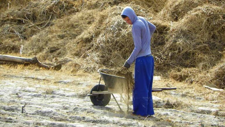 Importância da Agricultura Orgânica