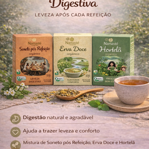 Kit Ritual Leveza Digestiva / Orgânicos Namastê