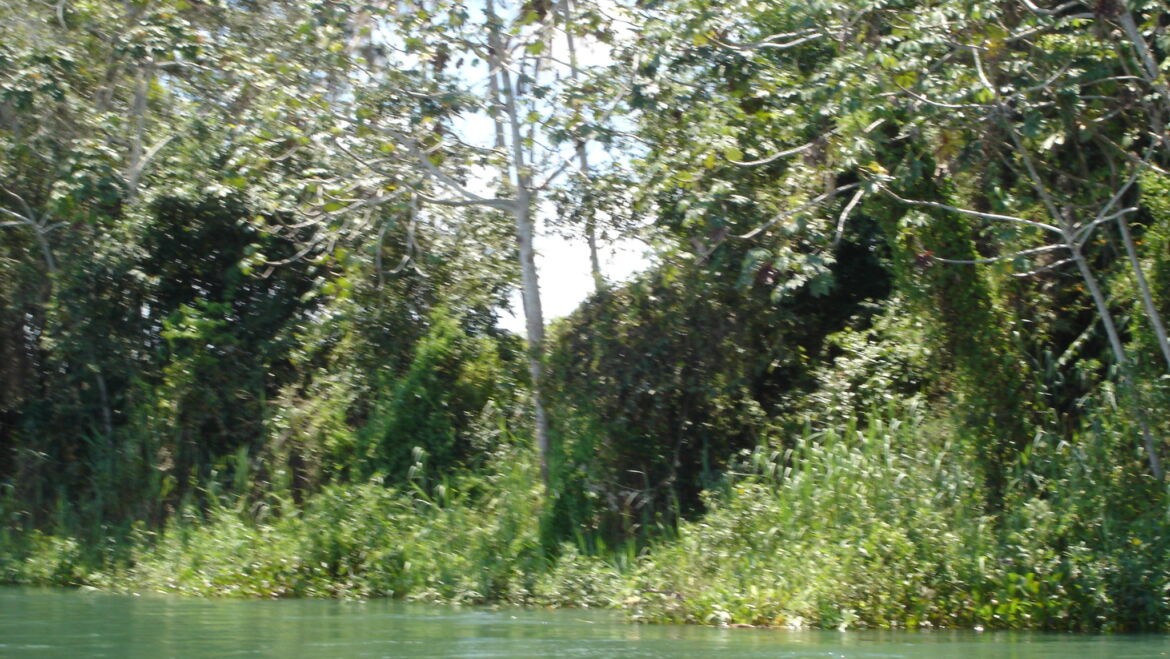 Namastê: 25 Anos de uma Jornada que Transforma, Regenera e Conecta