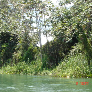 Namastê: 25 Anos de uma Jornada que Transforma, Regenera e Conecta