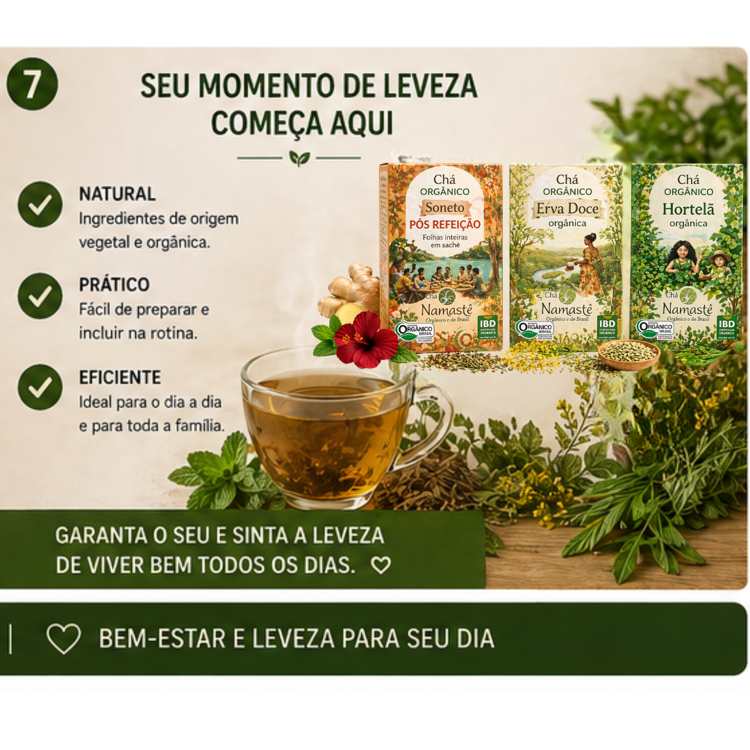 Kit Ritual Digestivo / funcional - Imagem 8
